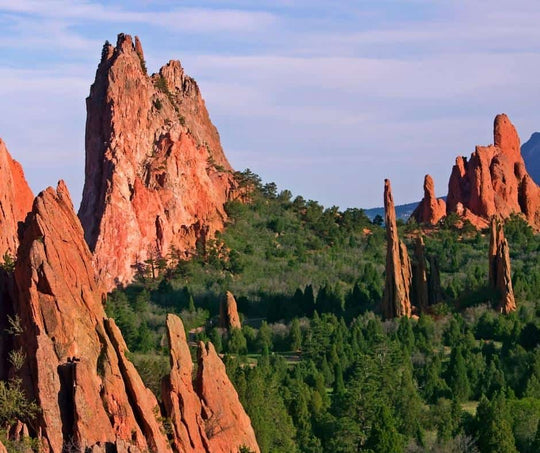 Trailblazer Training Camp